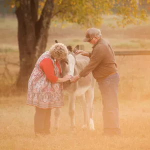 Jim and Ginger Jones on their farm with a donkey