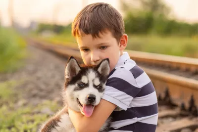 A young boy holding a husky puppy.