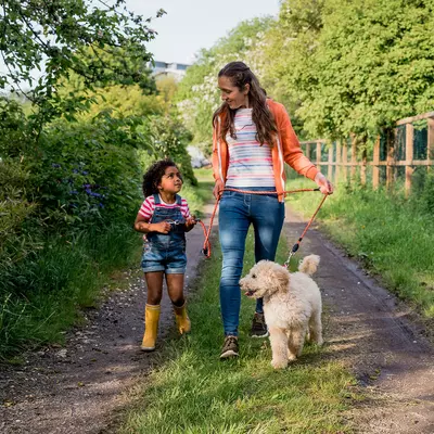 A Mother and Daughter Walk Their Labradoodle on a Country Road.