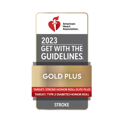 Get with the Guidelines 2023 Gold Plus Award for Stroke emblem