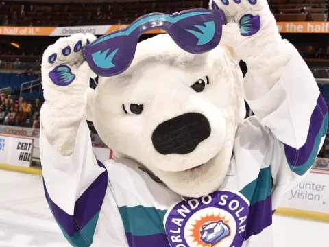 Solar Bear Mascot 