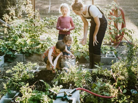 A family gardening together. 