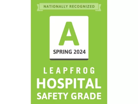 Leapfrog Spring 2024