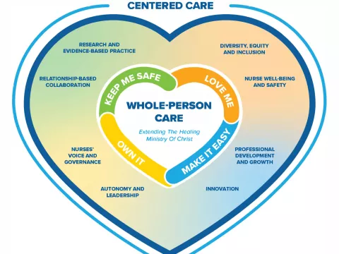 professional practice model heart