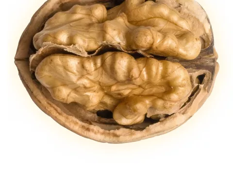 Open walnut.