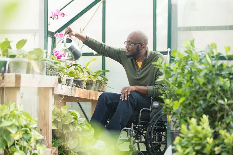 A young man in a wheelchair waters flowers in a greenhouse