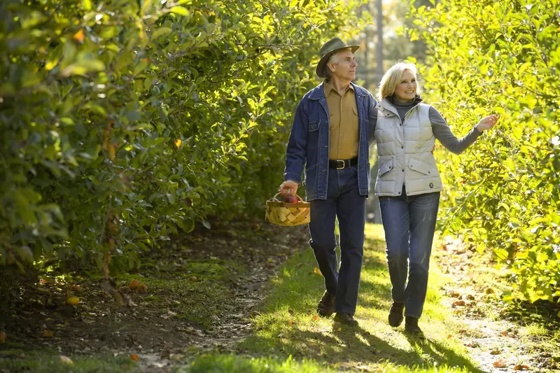 Elderly couple walking through an apple orchard.