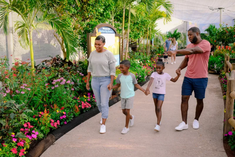 A Family Explores The EPCOT Flower and Garden Festival Butterfly Landing