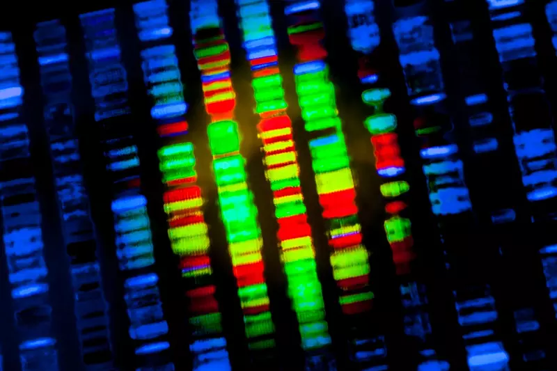 An image of colorful, genomic data