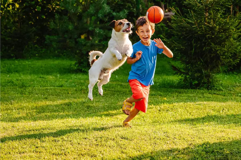 Paying is State of Being. Little Child Play with Toy Dog Outdoors