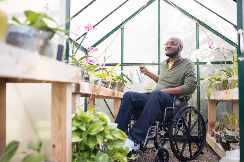 Man in a wheelchair in a greenhouse.