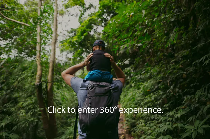 Father and son hiking in forest