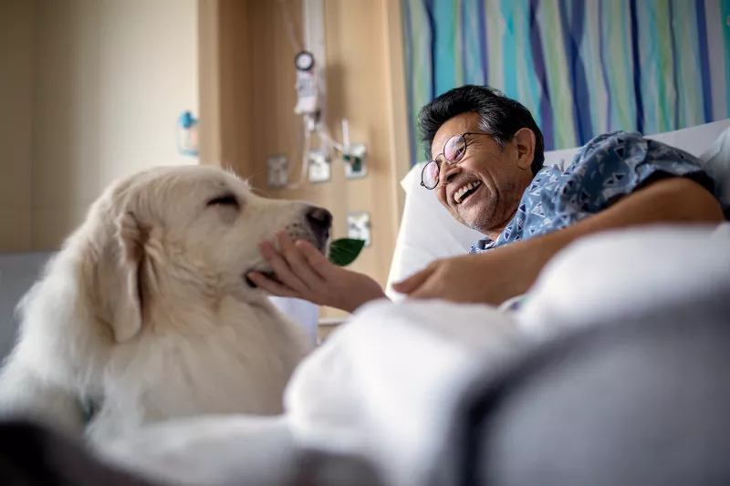 A male patient petting a therapy dog while laying in a hospital bed.