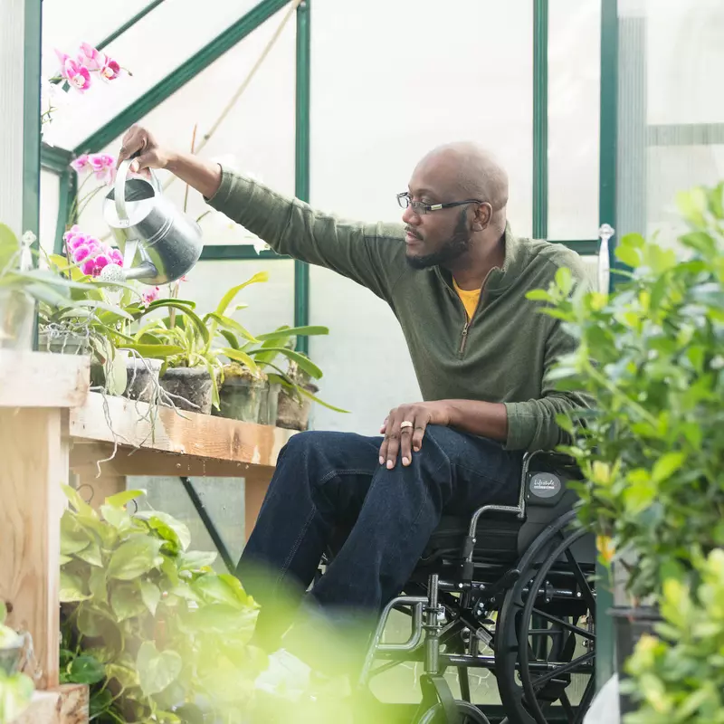 A young man in a wheelchair waters flowers in a greenhouse