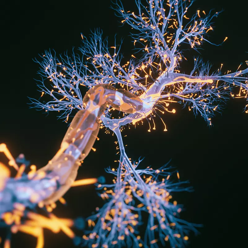 Image of an ALS Diagnosis Neuron