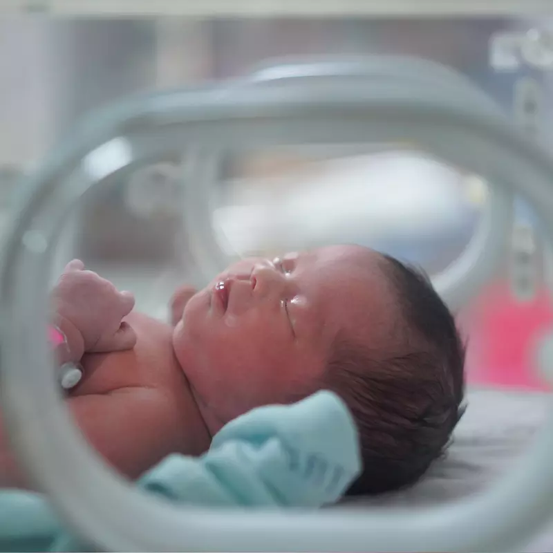 A New Born Baby Sleeps in an Incubator 