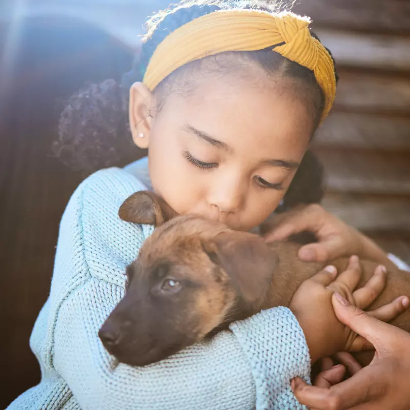 A Little Girl Kisses a Puppy on the Top of His Head
