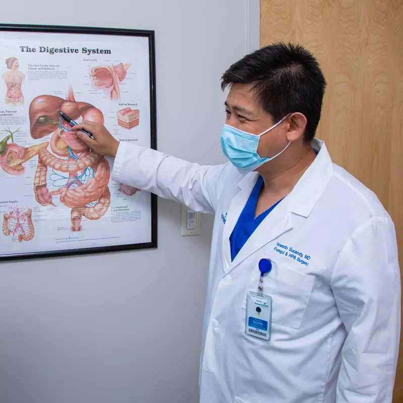 Dr. Sucandy showing a patient a digestive system diagram.