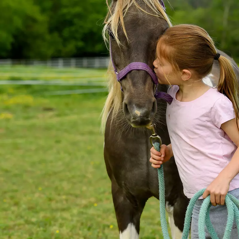A little girl with her horse.