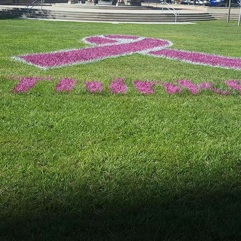 Breast Cancer Pink Ribbon design sprayed on a lawn.