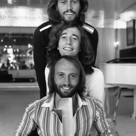 Picture of the bee gees