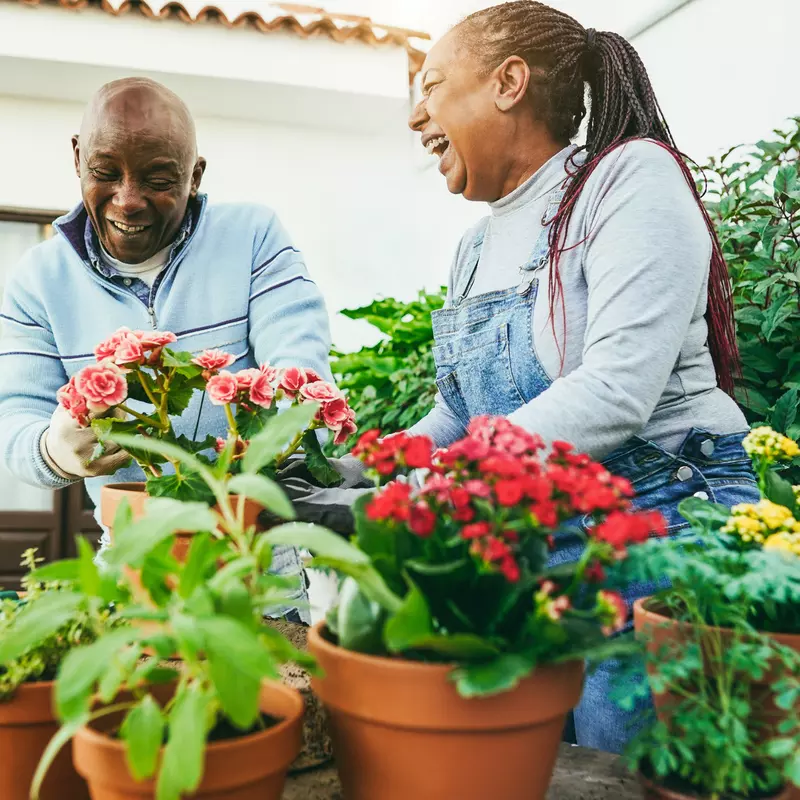 A black couple outside gardening with an assortment of terracotta pots with plants.