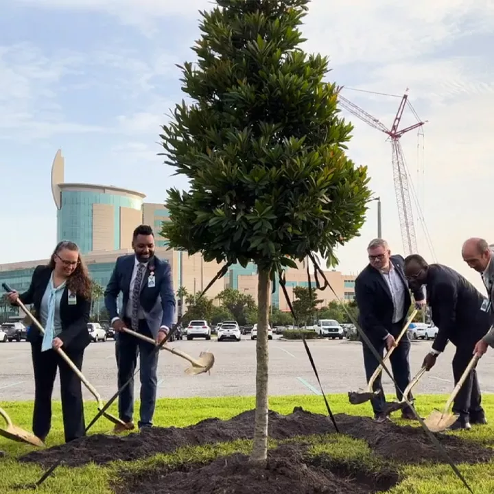 A group of people with shovels planting a tree.