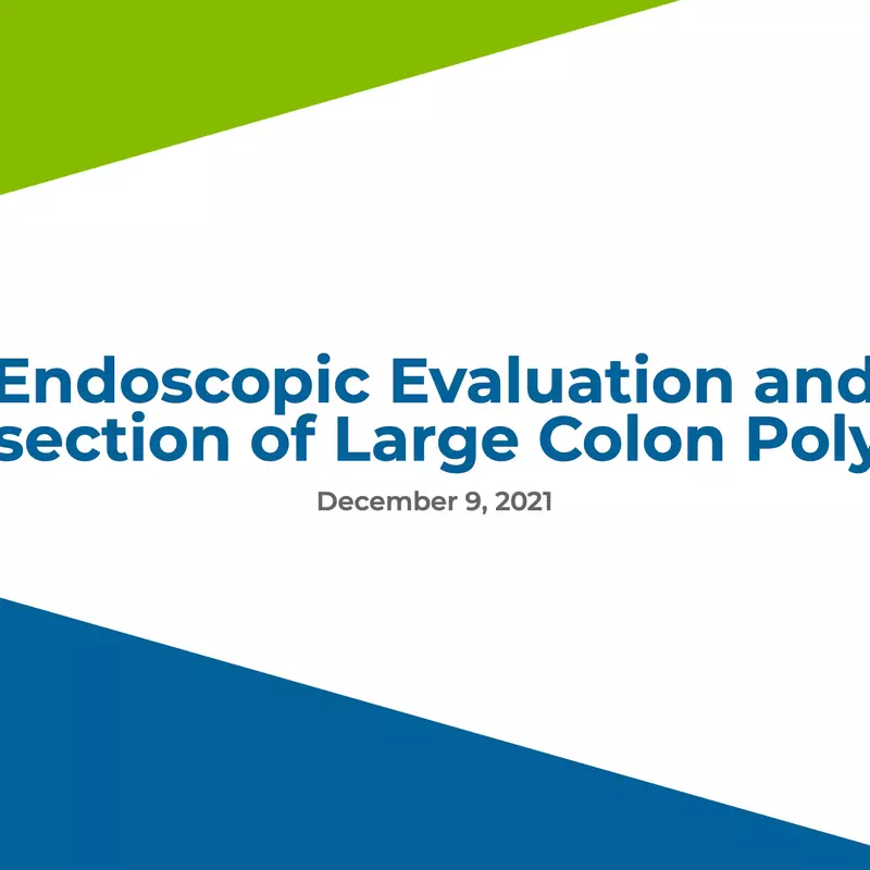 Endoscopic Evaluation and Resection of Large Colon Polyps
