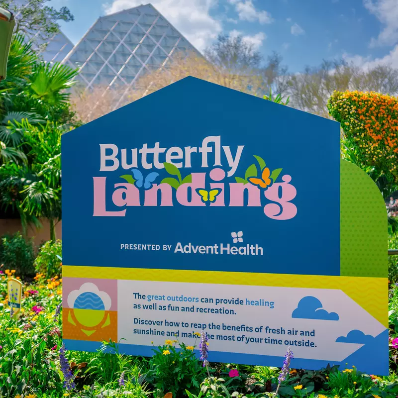 EPCOT International Flower and Garden Festival Butterfly Landing Presented by AdventHealth