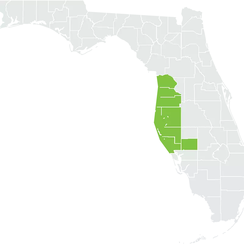  A Map of the Greater Tampa Area