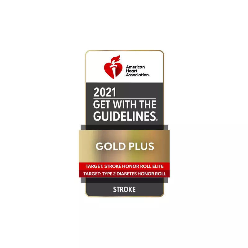 Get With The Guidelines-Stroke Gold Plus award logo.