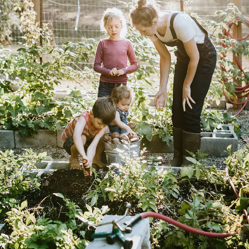 A family gardening together. 