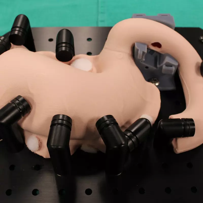 Photo of an apullectomy model