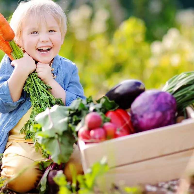 Happy child in a vegetable garden.