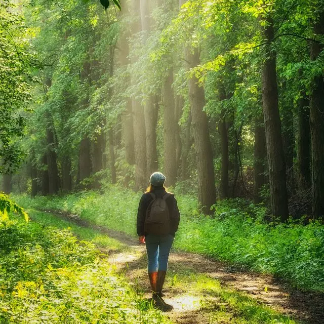 A woman walking through a trail at a forest.