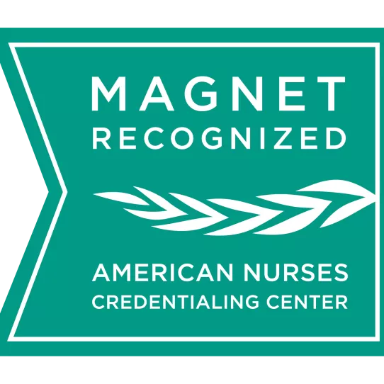 Magnet Recognition