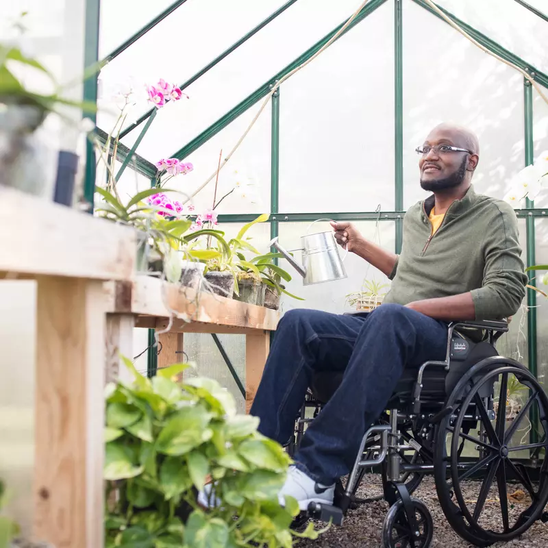 Man in a wheelchair in a greenhouse.