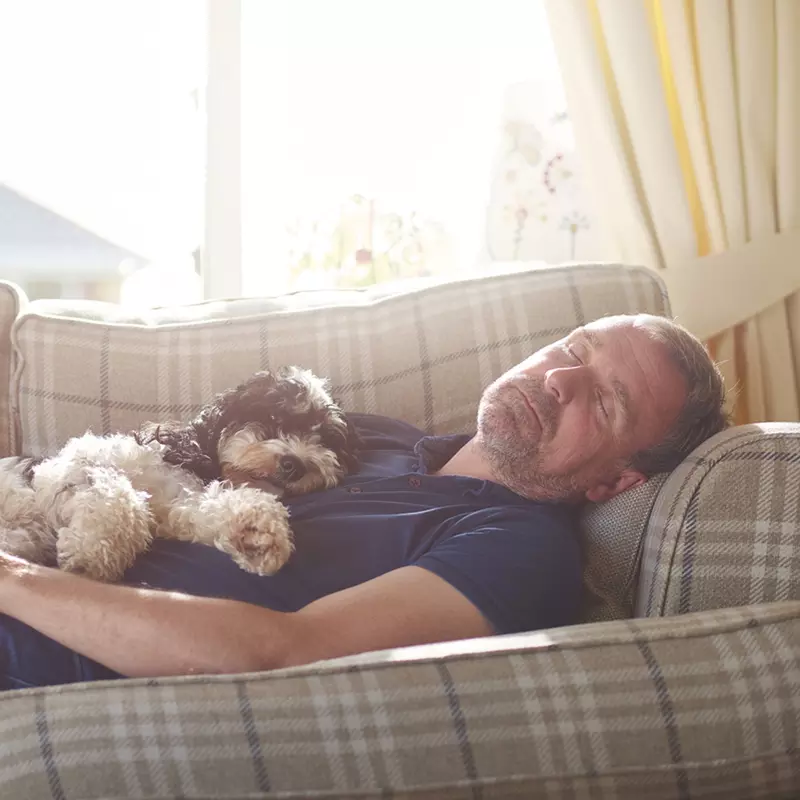 Man napping on a couch with a dog.