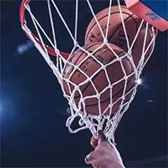 Basketball hoop with two basketballs.