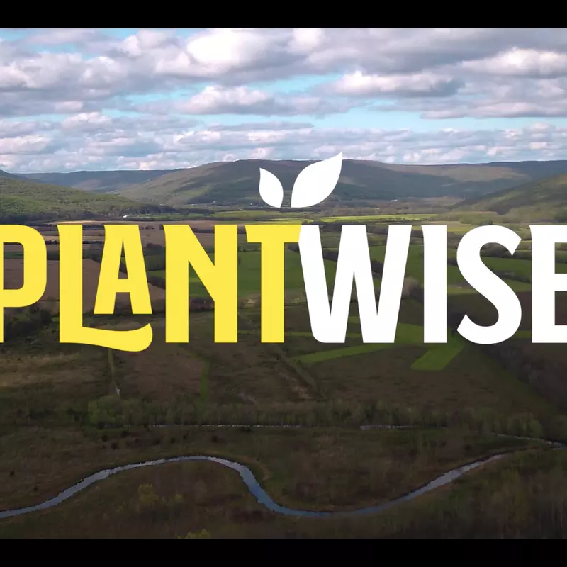 PlantWise documentary logo on top of a scenic valley.