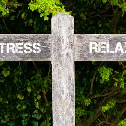wooden sign pointing to two directions for stress and relax