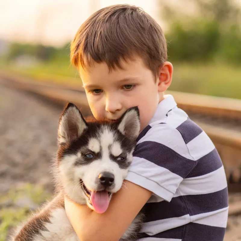 A young boy holding a husky puppy.