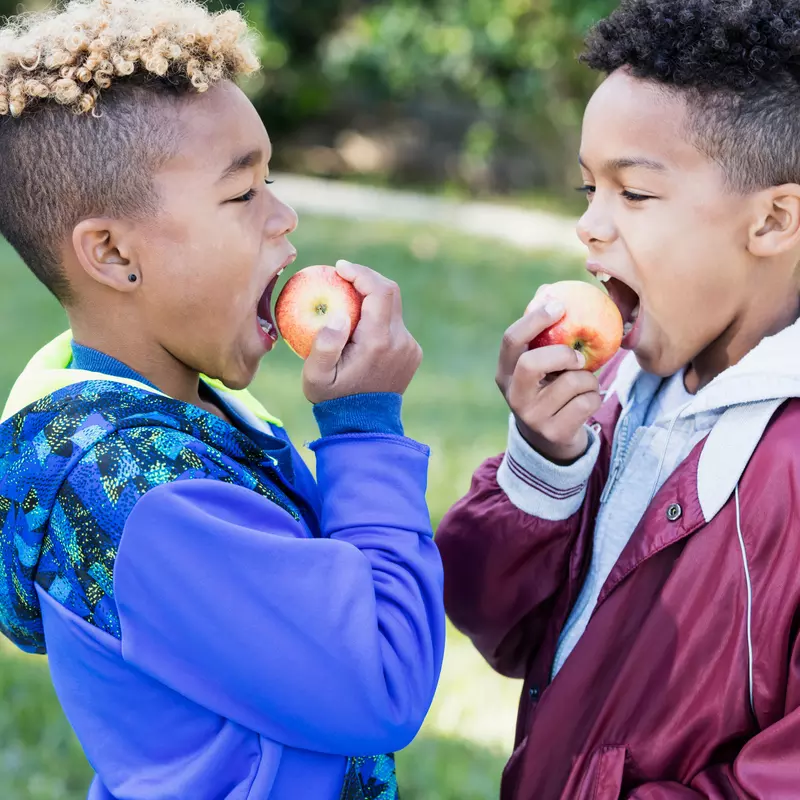 Two boys eating apples.