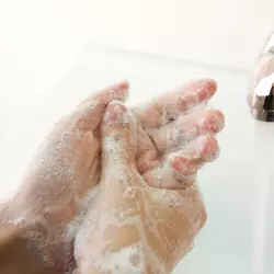 wash_hands
