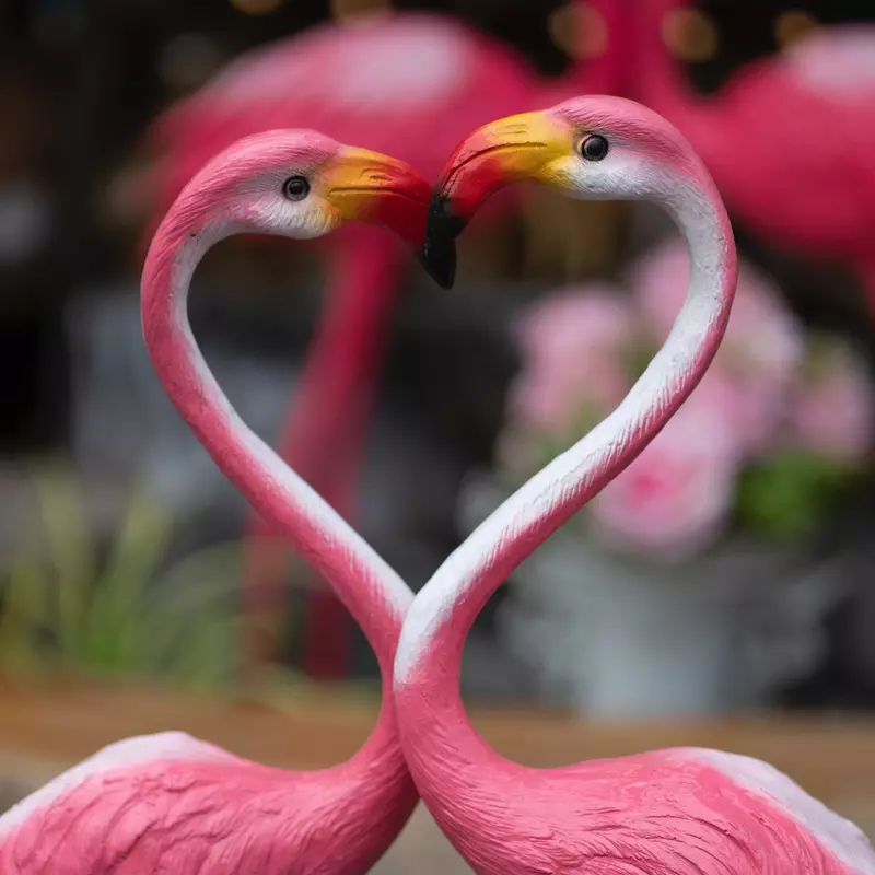 Yard flamingos figurines craning their necks to make a heart.