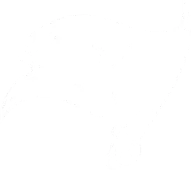 Tampa Bay Buccaneers Logo in white.