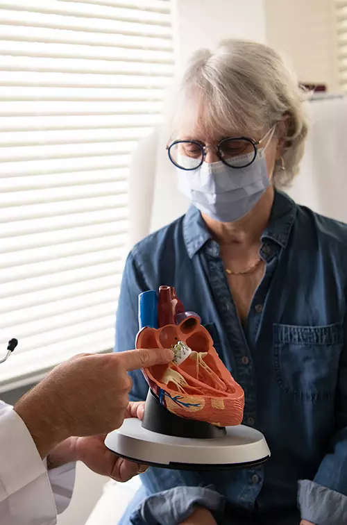 Doctor showing a woman patient a heart model while both wear masks.