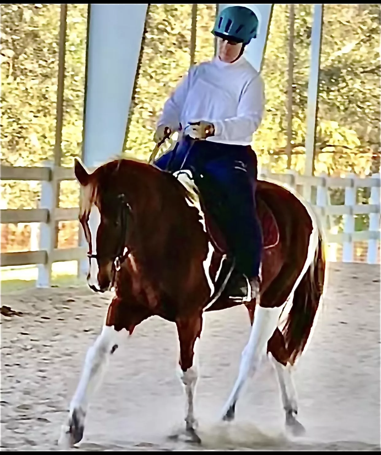 Cianciotto riding a horse post-surgery.  