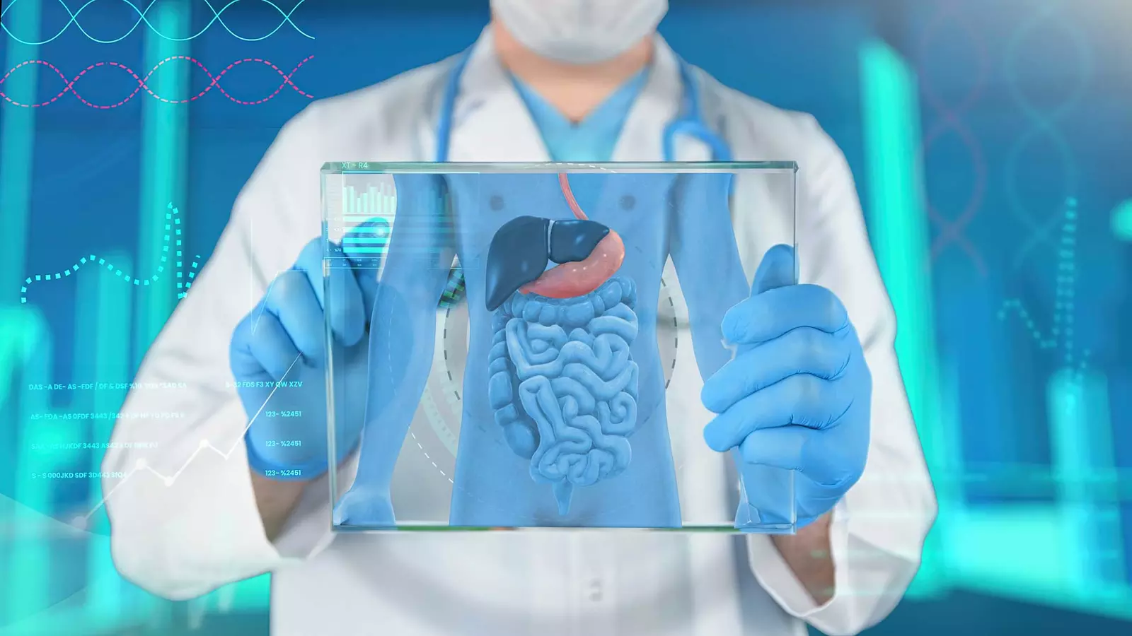 A doctor using an electronic device to view a patient's digestive organs