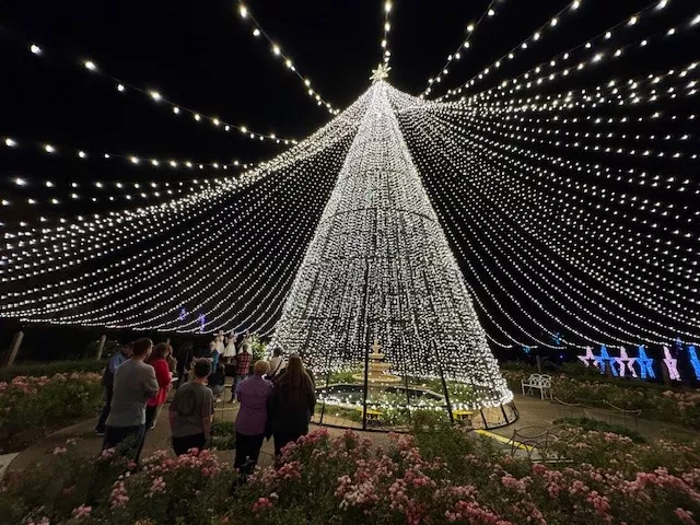 Orlando’s beloved holiday tradition, Dazzling Nights, is back for its fifth year, promising a spectacular celebration bigger and brighter than ever.